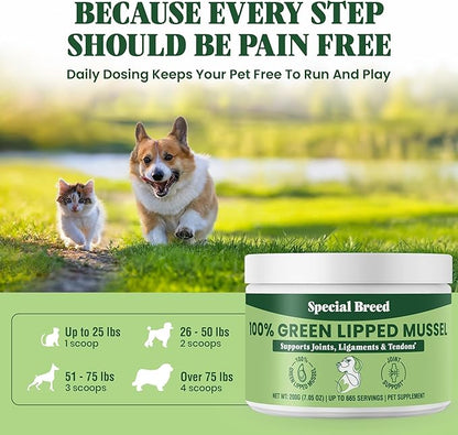 Special Breed Green Lipped Mussel Powder for Dogs & Cats - 100% New Zealand Green Lipped Mussels - Natural Hip & Joint Supplement for Joints, Tendons, Ligaments, Muscles - 200 Grams - 665 Servings