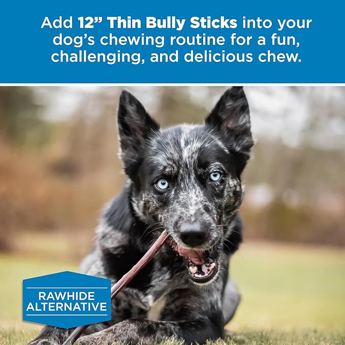 Best Bully Sticks 12 Inch Thin Bully Sticks for Dogs - 100% Natural Grain and Rawhide Free Bully Sticks for Small Dogs, Puppies, Senior Dogs | 24 Pack