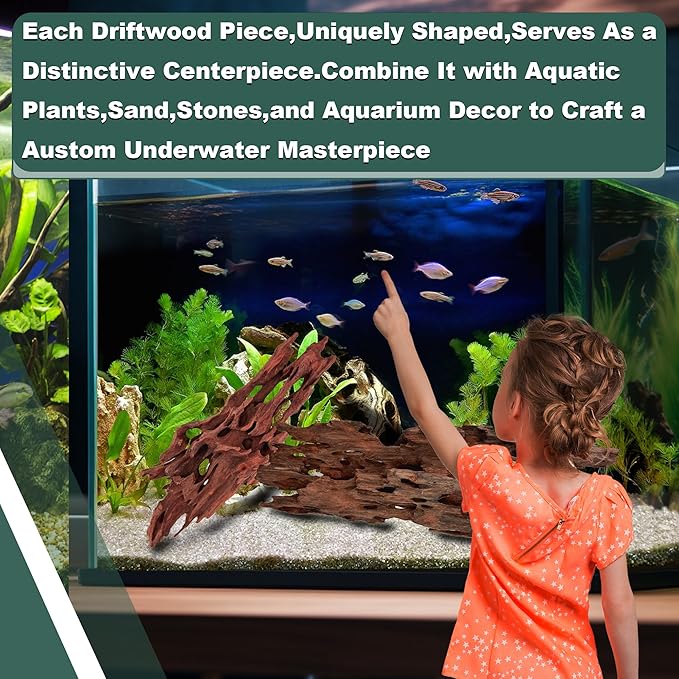 Natural Shrimpwood Driftwood Coral Driftwood for Aquarium Fish Tank Decor,Assorted Trunk Driftwood Branch for Reptile Decor (SHP-XM Driftwood M(9 to13 Inch)-Pack of 2)