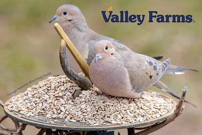 Valley Farms Whole Sunflower Hearts for Birds 4 LB 2-Pack (8 LB Total), Sunflower Kernels Wild Bird Food, No Mess Wild Bird Seed for Outside Feeders, Sunflower Hearts Birdseed