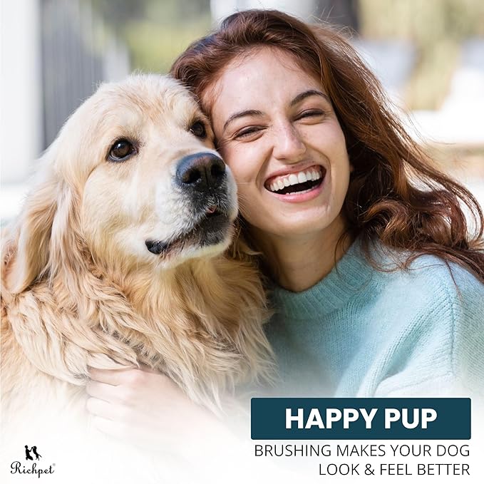 Premium Double-Sided Pin & Bristle Dog Brush (Small Size, Black) with Ergonomic Grip | Detangling, Shedding & Undercoat Rake for Short & Long Hair Dogs & Cats | Cat Grooming Brush