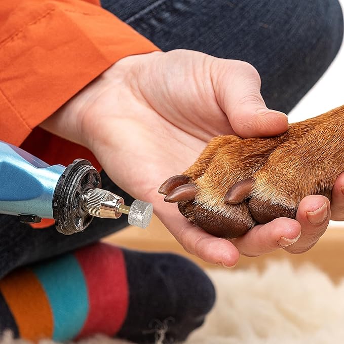 Dog Nail Grinder Replacement Heads: 10Pcs Pet Nail Grinder Diamond Tip Replacement for Most Brands - Spare Grinding Head for Electric Pet Paw Trimmer