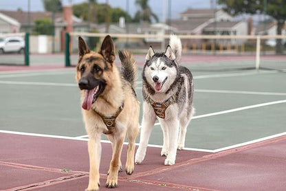 AUROTH Tactical Dog Harness for Small Medium Large Dogs No Pull Adjustable Pet Harness Reflective K9 Working Training Easy Control Pet Vest Military Service Dog Harnesses Large Grey Camo