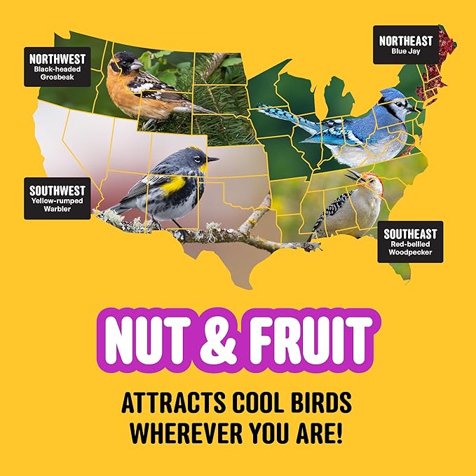 Nut & Fruit Wild Bird Seed  10 lb. Gourmet Bird Food with Sunflower Hearts, Peanuts, Tree Nuts & Real Fruit  No Corn, Milo or Millet Bird Seed for Outside Feeders