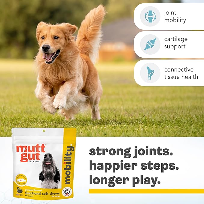 MuttGut® Mobility Chews for Dogs - Glucosamine Chews with MSM, Turmeric & Algae Oil Powder - Joint Support & Hip Health Supplement for Dogs - Vet Recommended, cGMP Certified - 60 Soft Chews