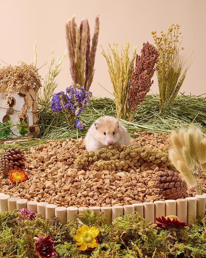 BUCATSTATE Natural Hamster Bedding - Flowers & Herbs & Sprays for Cage Habitat Decor - Treat Cereal Grain for Dwarf Syrian Gerbils, Mice, Rat, Forage, Enrichment (58PCS)