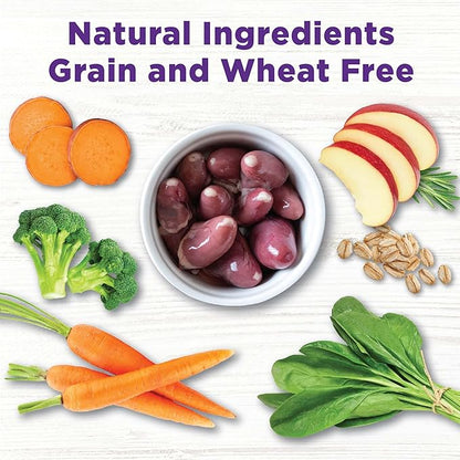 Wellness CORE Bowl Boosters Joint Health Dog Food Topper, 4 Ounce Bag