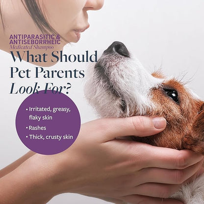 Veterinary Formula Clinical Care Antiparasitic & Antiseborrheic Medicated Dog Shampoo & Clinical Care Antiseptic and Antifungal Medicated Shampoo for Dogs & Cats