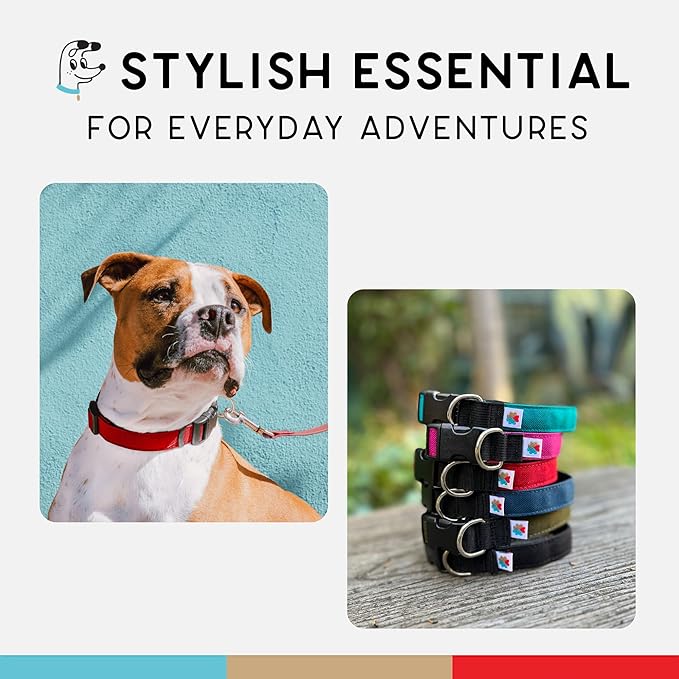 Dog Collar, Lightweight, Heavy Duty Dog Collar with Buckle, Fabric Pet Collar, Breathable & Adjustable Puppy Collar, Dog Collars for Small Dogs (Red, Small - 8-12 Inch) - Wildebeest