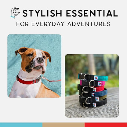 Dog Collar, Lightweight, Heavy Duty Dog Collar with Buckle, Fabric Pet Collar, Breathable & Adjustable Puppy Collar, Dog Collars for Small Dogs (Red, Small - 8-12 Inch) - Wildebeest