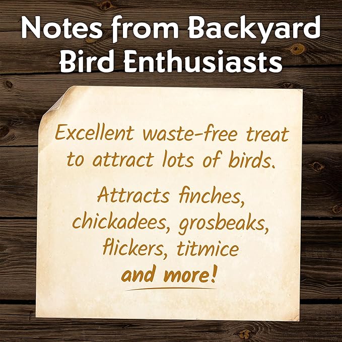 Morning Song Sunflower Hearts & Chips Wild Bird Seed  10 lb. Premium No Mess, Shell-Free Bird Food for Outside Feeders