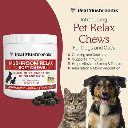 Calming Chews for Dogs & Cats – Soft Chews with Reishi & Lion’s Mane for Daily Composure – for All Breeds & Sizes – Calming Treats for Dogs: 1 Chew/20 lb Daily; Cats: ¼ Chew Twice Daily – 60 Count