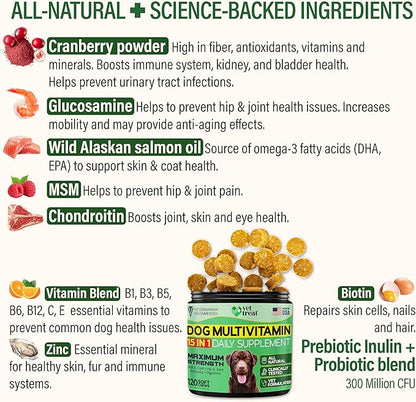 Dog Multivitamin Chewable with Glucosamine & Salmon Oil – Made USA – Puppy & Senior Supplement – 120 Chews– Daily Wellness Support for Joints, Immune System, Skin & Coat, Heart & Digestion