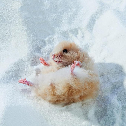 DR.DUDU Hamster Bath Sand, 12lb Dust Free Desert Sand or Potty Litter Sand for Hamster Chinchillas Gerbil Syrian Mice Small Animals (White)