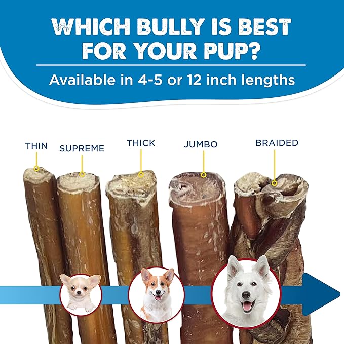Best Bully Sticks 4-5 Inch Braided Bully Sticks - 1 lb (Pack of 1) - Natural, Easily Digestible, Limited Ingredient, Rawhide Alternative, Free-Range Grass-Fed
