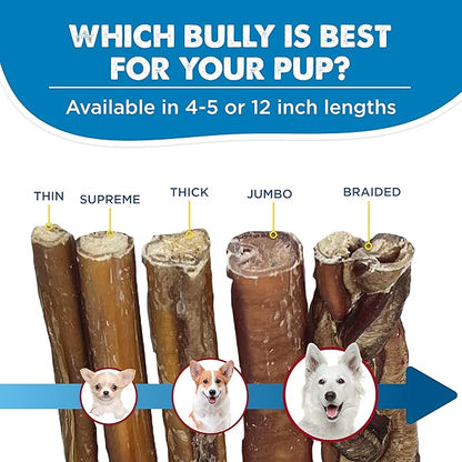 Best Bully Sticks 4-5 Inch Braided Bully Sticks - 1 lb (Pack of 1) - Natural, Easily Digestible, Limited Ingredient, Rawhide Alternative, Free-Range Grass-Fed