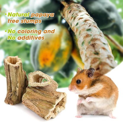 Abizoo Natural Bunny Chew Toys,6 Pcs Organic Papaya Wood Sticks Chew Toys for Rabbit,Hamster,Guinea Pig,Chinchilla,Gerbil,Rat Healthy Chews Teeth Grinding Treats, Squirrel Molar Snack