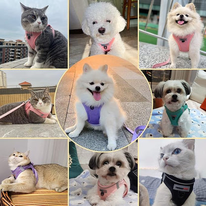 Dog Harness and Leash Set, Step in no Pull Dog Harness Adjustable Reflective Padded Mesh Fabric Dog Vest for Extra-Small/Small Medium Dogs and Cats-XS-Black