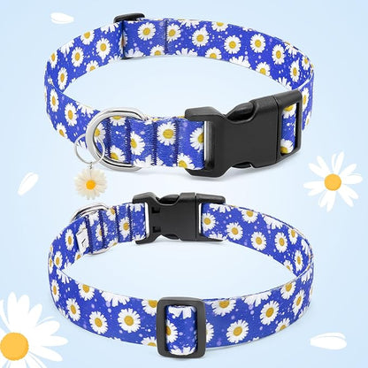 BiPawTi Floral Dog Collars for Large Dog - Soft Cute Dog Collars for Girls Dog Pretty Flower Collar with Daisies Charms, Gift for Female Male Boys Girls Dogs (L, Blue)
