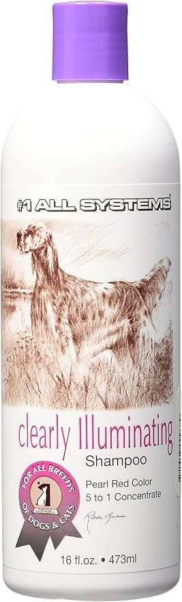 #1 All Systems Clearly Illuminating Shampoo-16oz