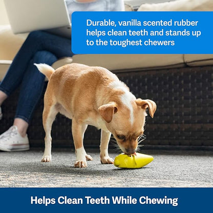 PetSafe Frosty Cone Dog Toys  Fill and Freeze Treat Holding Chew Toy  BPA Free Rubber  French Vanilla Scented  Interactive Pet Puzzle for Boredom or Separation Anxiety