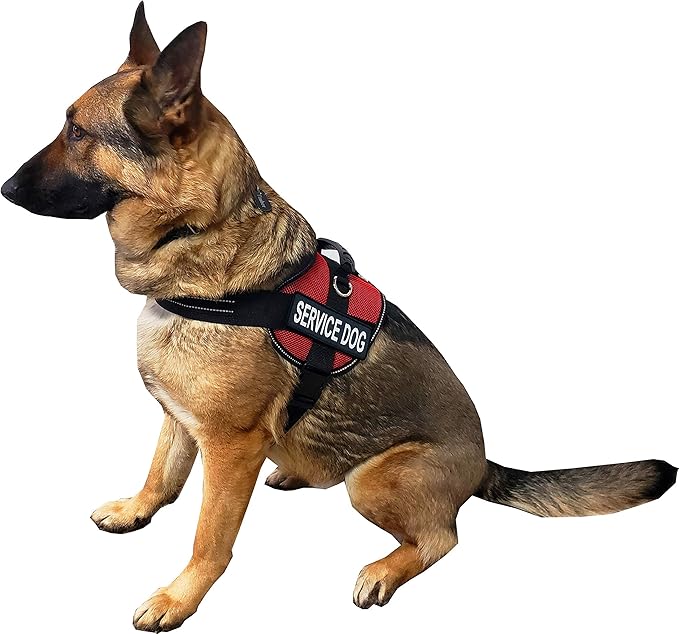 ActiveDogs Service Dog Vest Air-Tech Mesh Harness, XS Girth 16"-20" w/Handle, ADA Cards + Reflective Service Dog Patches - Red