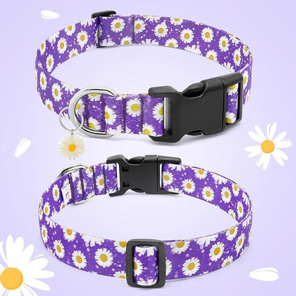BiPawTi Purple Dog Collars - Cute Flower Collar for Small Dog with Daisies Charms, Pretty Floral Dogs Collar for Female Dogs Puppy Girls Boys Pet (S, Purple)