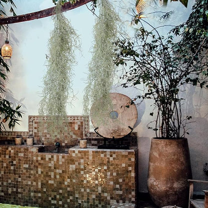 36 Inch Hanging Moss Decor - 1 Pcs Fake Moss - Artificial Plastic Spanish Dried Hanging Vine for Potted Plants Crafts Green Vines