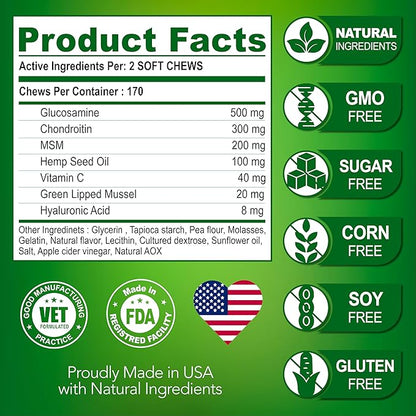 Vet Promise Glucosamine for Dogs - Hip and Joint Supplement for Dogs - Glucosamine Chondroitin - Joint Pain Relief Pills - MSM - Advanced Health Support Supplement - 170 Mobility Chews - Made in USA