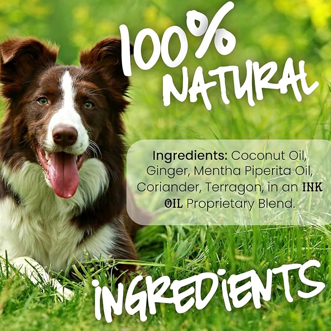 Pup Oils Sick Pup Essential Oil for Dogs - Soothes Upset Stomachs & Vomiting - Organic Calming Oils - Probiotics & Digestive Enzymes for Pet Gut Health - Dog Stomach Relief Probiotic Supplement - 1 oz