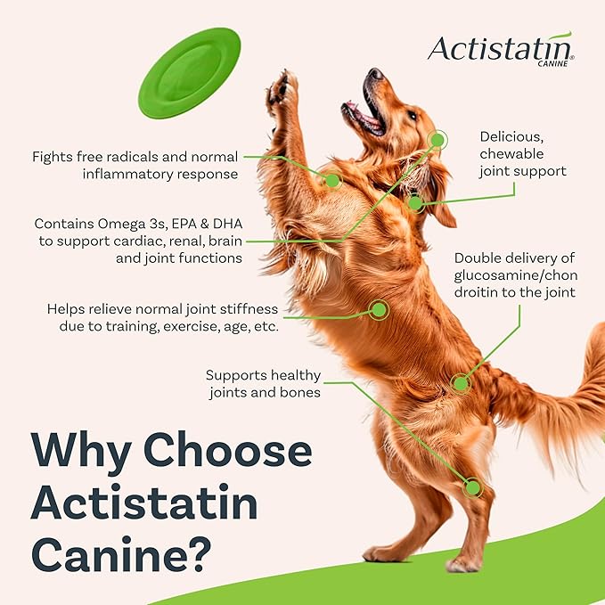 Actistatin Canine Large Dog Soft Chews, 60ct  Patented Extra-Strength Joint, Cartilage, Soft Tissue Supplement: Glucosamine, Chondroitin, Manganese, MSM, L-Carnitine  High Absorption, Fast Results