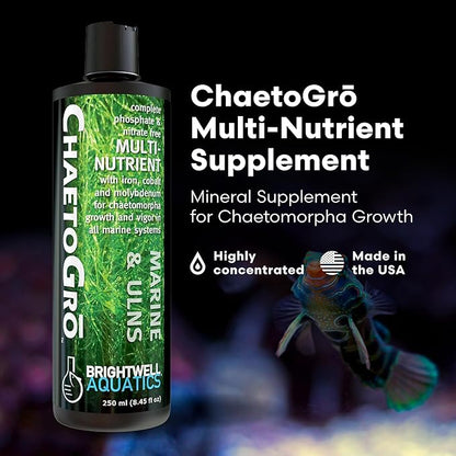 Brightwell Aquatics - ChaetoGro - Algae Nutrient Supplement for Chaetomorpha Growth in All Marine Fish Tanks - Multi-Nutrient Aquarium Water Treatments, 8.45 fl oz
