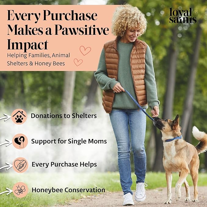 Freeze Dried Raw Dog Food - Premium Turkey and Salmon Flavor with High Protein and Grain Free Dog Food for All Breeds and Picky Eaters - Versatile as Meal Topper, Snack, and Treats, 5 Oz