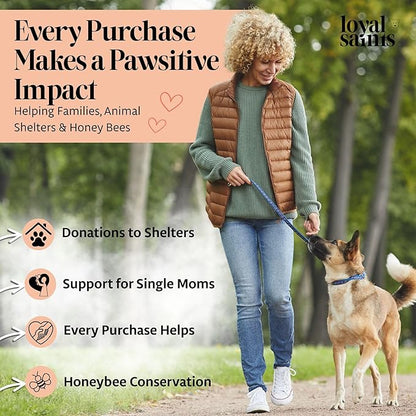 Freeze Dried Raw Dog Food - Premium Turkey and Salmon Flavor with High Protein and Grain Free Dog Food for All Breeds and Picky Eaters - Versatile as Meal Topper, Snack, and Treats, 5 Oz