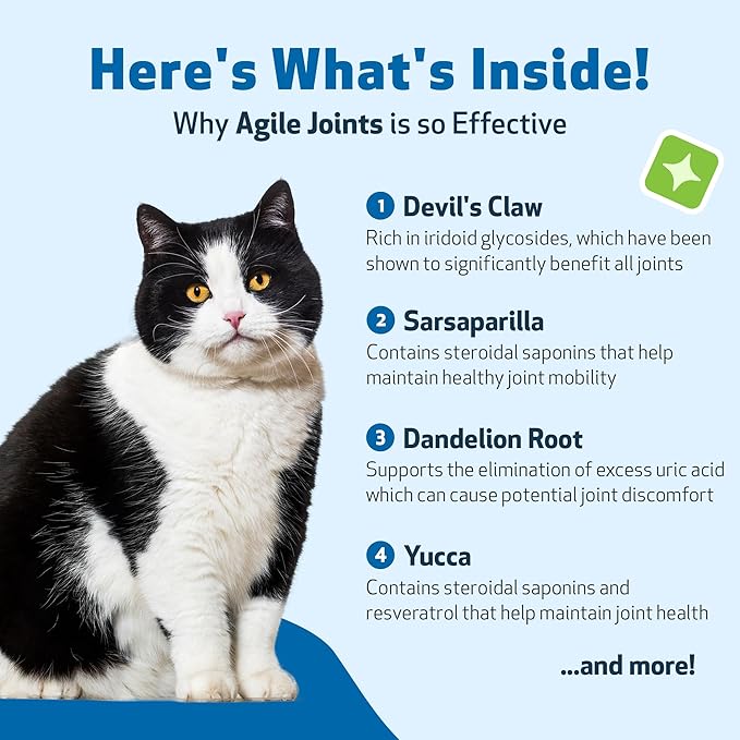 Pet Wellbeing Agile Joints for Cats - Veterinarian-Formulated - Hip and Joint Health, Mobility, Devil_ Claw, Boswellia, Joint Ligament and Cartilage - Herbal Supplement 4 oz (118 ml)