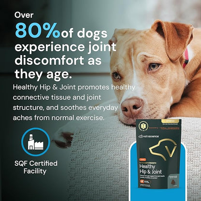 VETRISCIENCE Veterinary Strength Healthy Hip & Joint Chews - Joint Health Supplement for Dogs - Supports Mobility & Flexibility - 60 Count
