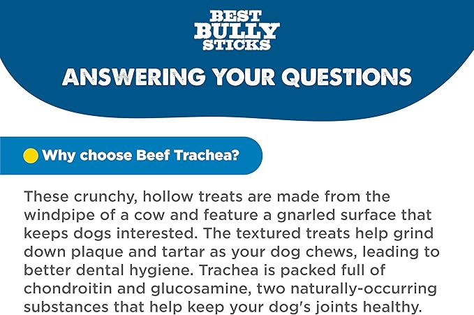 Best Bully Sticks Premium 3 Inch Beef Trachea Dog Chews (50 Pack) - All-Natural, Grain-Free, 100% Beef, Single-Ingredient Dog Treat Chew - Promotes Dental Health