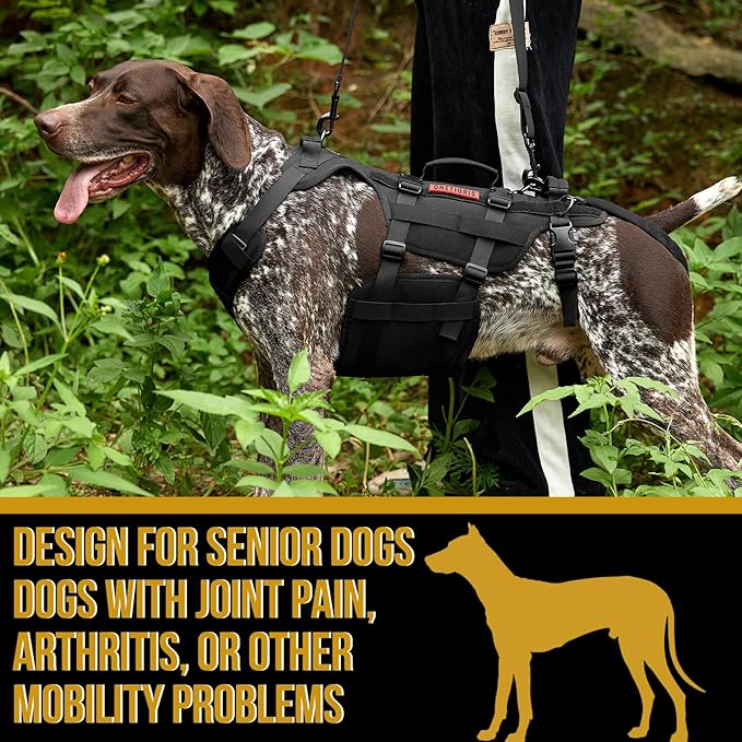 OneTigris Dog Lift Harness for Large Dogs, Dog Hip Support Brace, Full Body Dog Lifter with Handles Invictus Multifunctional Mobility Assistance Vest for Back Legs (Black, X-Large)