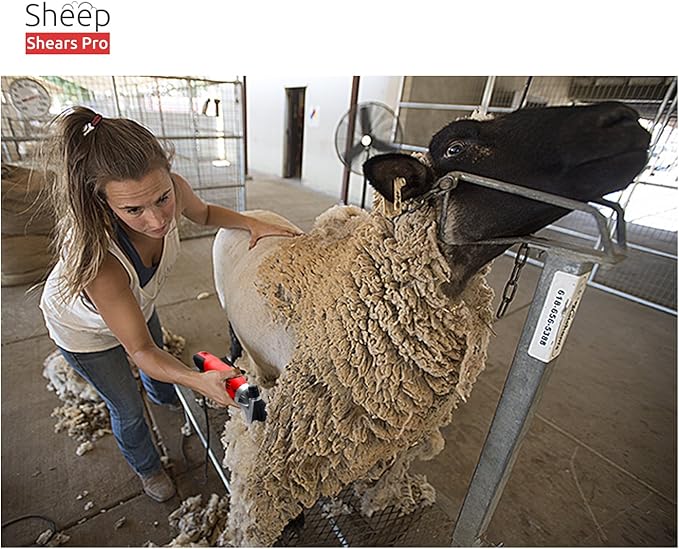 13 Tooth Straight Blade Replacement Universal Sheep Cutter Blades Set with 2 x Sheep Clipper Oil Lubricant Bottles 6.8 Fl OZ (200ml)