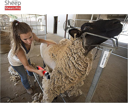 13 Tooth Straight Blade Replacement Universal Sheep Cutter Blades Set with 2 x Sheep Clipper Oil Lubricant Bottles 6.8 Fl OZ (200ml)