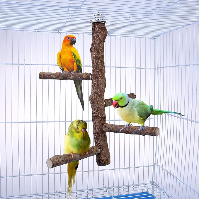 CozyCabin Bird Perch Stand Natural Wood Cage Perch Bird Cage Accessorie Toys Standing Rack for Cockatiels, Parakeets, Macaw, Small Birds Exercise Training