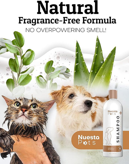 Pet Shampoo for Dogs & Cats (2 Pack) Unscented Fragrance Free Natural & Organic - pH Balanced for Dry & Sensitive Skin for Puppies & Kittens - Chamomile, Aloe & Oatmeal – Soap & Cruelty Free – 16 Oz