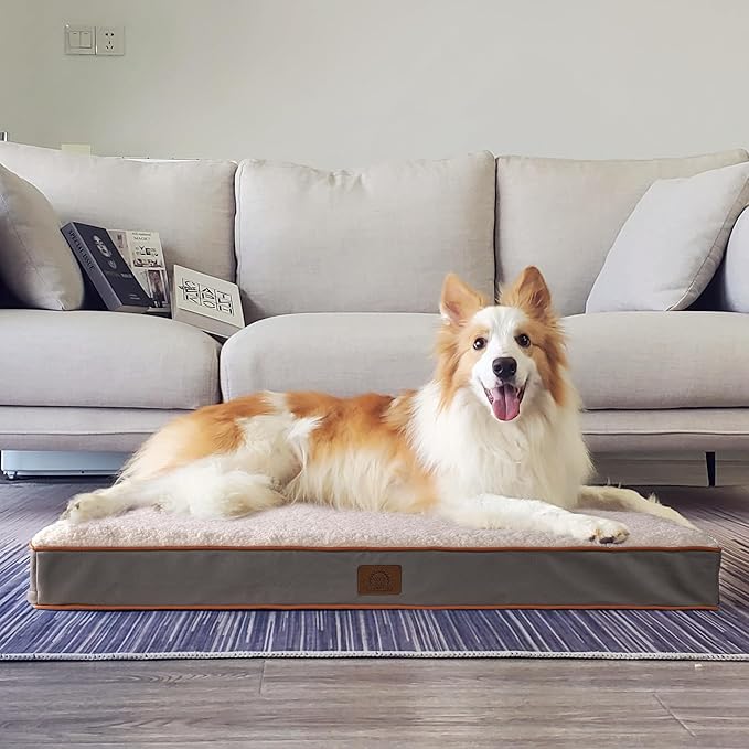 Jumbo Dog Bed Extra Large Waterproof Dog Bed, Big Orthopedic Dog Beds with Removable Washable Cover for Extra Large Dogs, Pet Bed Mat Egg-Crate Foam, 3XL(47"X29"X4"), Light Grey