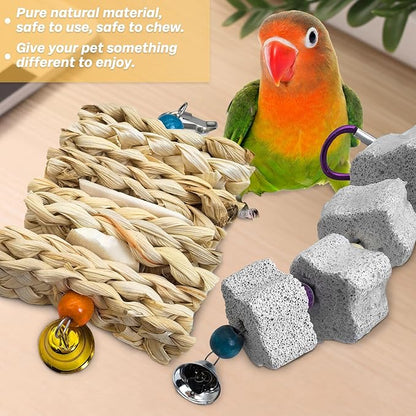 PINVNBY 2 Pack Parrot Toys Chewing Bird Toy Cuttlebone Beak Grinding Stone Cage Hanging Toys with Bell for African Greys Amazon Conure Eclectus Budgies Parakeet Cockatiel Hamster Chinchilla