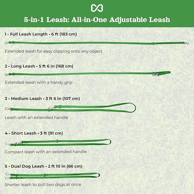 Dog Harness and Leash Set | BearBone No Pull Dog Harness and Waterproof Dog Collar and Leash Set | Heavy Duty Dog Harness, Leash and Collar | Leash, Collar and Harness Large Size Dog (Green, Large)