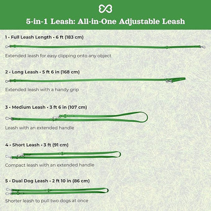 Dog Harness and Leash Set | BearBone No Pull Dog Harness and Waterproof Dog Collar and Leash Set | Heavy Duty Dog Harness, Leash and Collar | Leash, Collar and Harness Large Size Dog (Green, Large)