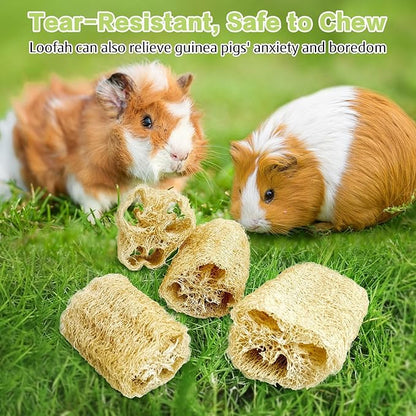 BNOSDM Bunny Chew Toys Natural Loofah 6PCS Bunny Teeth Grinding Toy Rabbit Fiber-Rich Treats Pet Entertainment Accessories for Rabbits Chinchillas Guinea Pig（L）