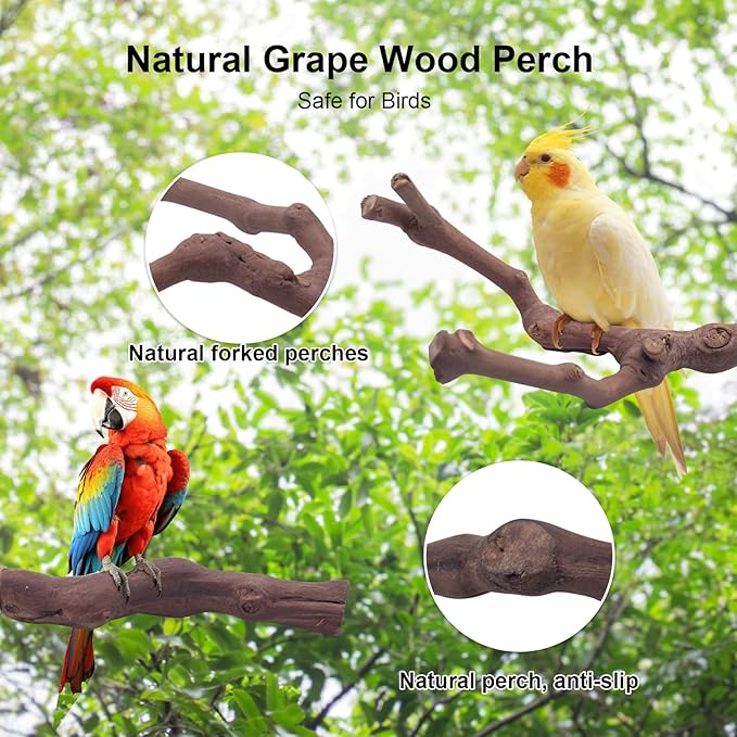 6PCS Bird Perches Natural Parrot Perch Stand for Cage, Grape Wood Stands, Bird Platforms, Parakeets Paw Grinding Fork Exercise Toys Set for Cockatiels, Conure, Parrot