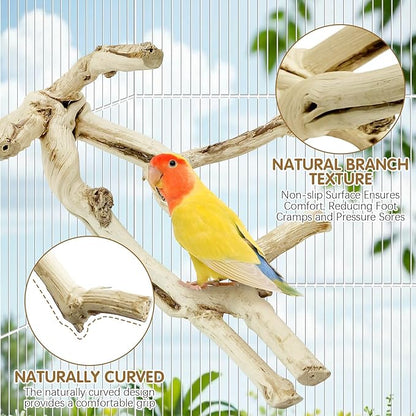 kathson Bird Perch Stand 11.8" Nature Wood Stand Toy Parrot Cage Branch Paw Grinding Fork Parakeet Platform for Parakeets Cockatiels Conures Finches Love Birds