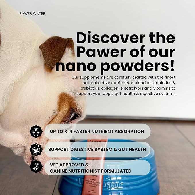 Dog Gut Health Supplement with Salmon Oil, Prebiotics & Probiotics | Digestion Support Powder for Dogs | Sensitive Stomach, Loose Stool & Gas Relief | Natural Hydration Drink Mix